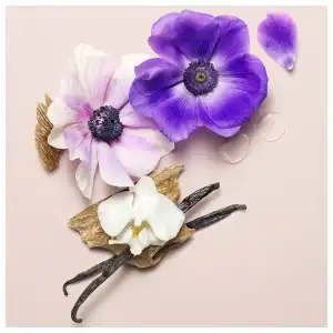 Loción Perfumada Midnight Blooms miniatura 2